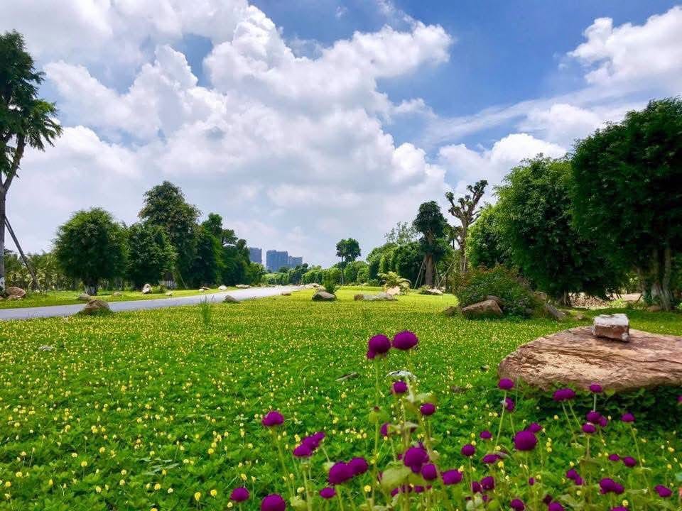 Hoa....2 – Ecopark